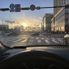 3일만에 장롱탈출