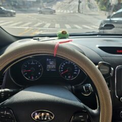 제주도 고속도로