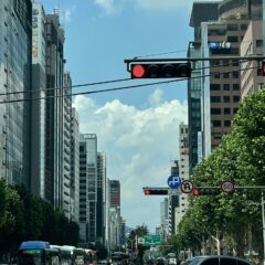 오늘 차 사러 갑니당~ㅋㅋ