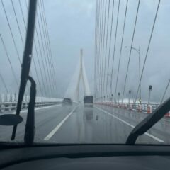 도로 교통법 실수