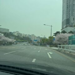 도로변에 빠진 쓰레기