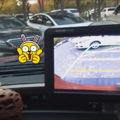 연수 잘 받았어요