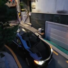 두려움 극복 후기